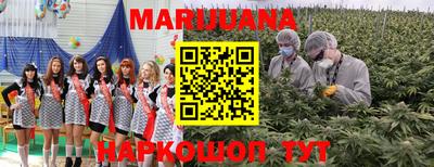 прущие грибы Балашиха