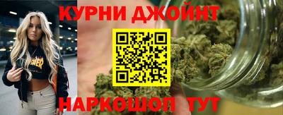 прущие грибы Балашиха