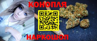 прущие грибы Балашиха