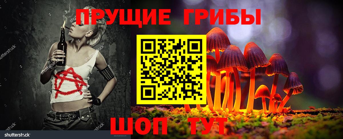 Губкинский  Галлюциногенные грибы Psilocybe  Вход с VPN  Псилоцибиновые грибы Cubensis 